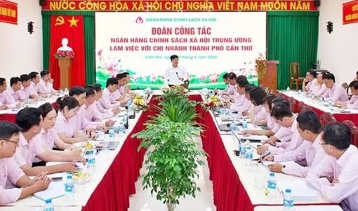 Tín dụng chính sách ở Cần Thơ lan tỏa sau sáp nhập