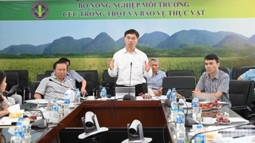 Xây dựng tiêu chuẩn quốc gia mới về sản xuất, sơ chế rau an toàn thực phẩm