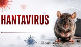 Nhận biết sớm bệnh do virus Hanta để tránh suy hô hấp, tổn thương thận