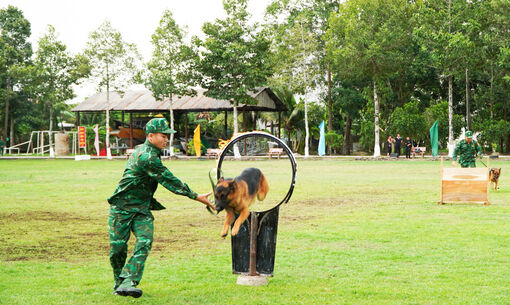 Bộ đội Biên phòng tỉnh An Giang tổ chức lễ tuyên thệ chiến sĩ mới năm 2026
