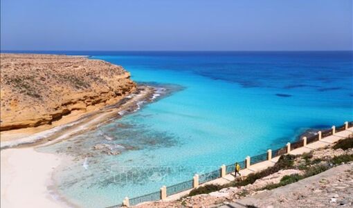 Biến đổi khí hậu: Nhiều hệ sinh thái suy thoái nhanh dưới tác động khí hậu cực đoan