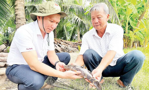 Chuyển đổi cách thức giảm nghèo bền vững ở Cà Mau