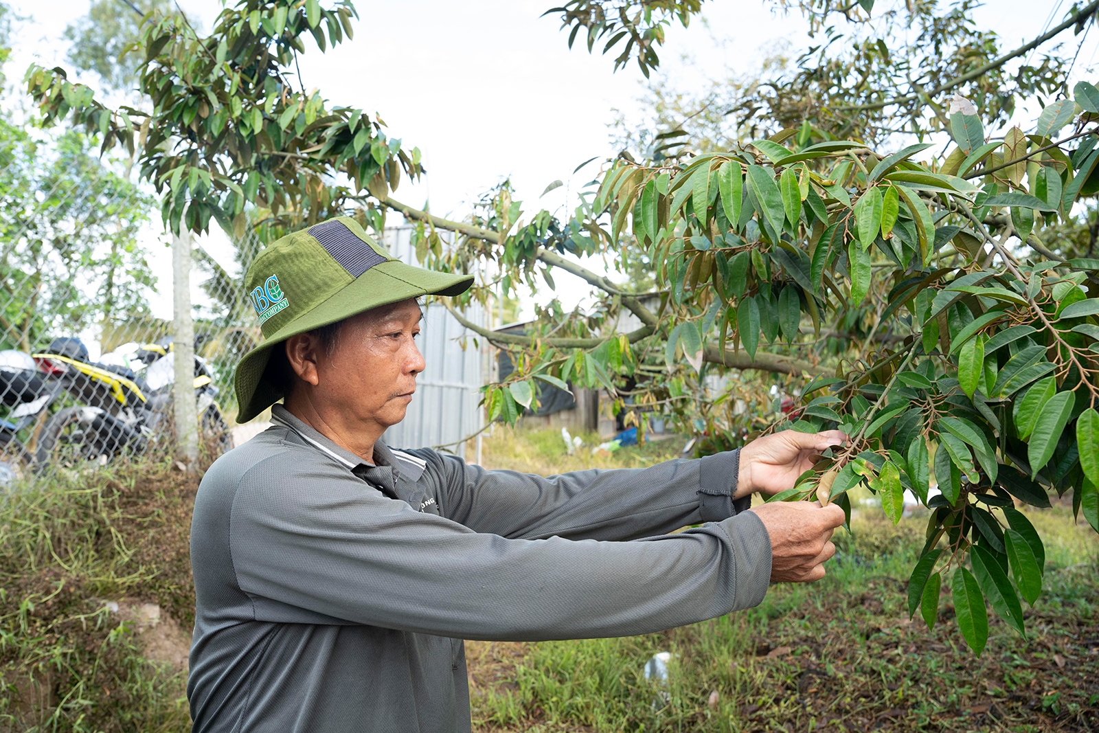 Những mô hình làm ăn hiệu quả ở Bình Hòa