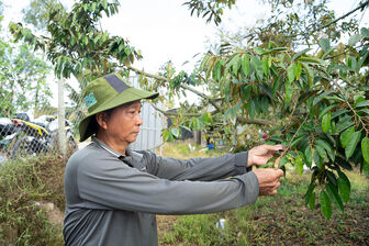 Những mô hình làm ăn hiệu quả ở Bình Hòa