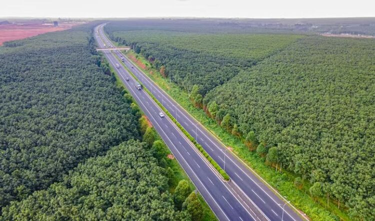 Gần 45.500 tỷ đồng đầu tư tuyến cao tốc đoạn Đức Hoà-Mỹ An dài gần 64km