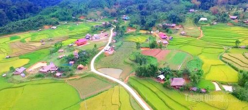 Tiếng gọi bình yên
