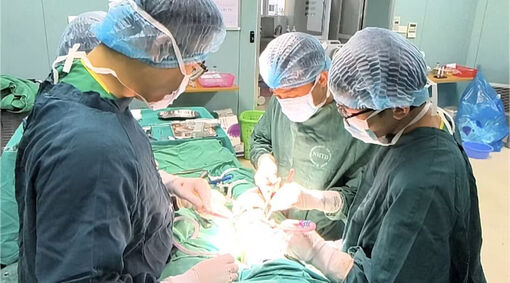Tưởng đau chân do đá bóng, bé trai 11 tuổi đối mặt nguy cơ mất chân vì viêm xương tủy