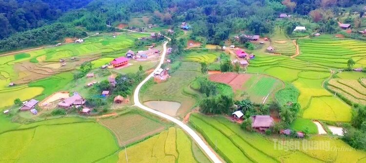 Tiếng gọi bình yên