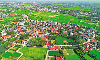 Làng vĩ cầm giữa chốn quê