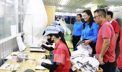 Cần Thơ đặt mục tiêu có thêm khoảng 300 doanh nghiệp thành lập mới/năm