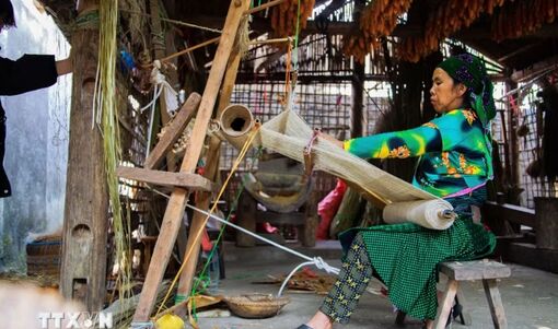 Lùng Tám - ngôi làng dệt lanh lưu giữ hồn văn hóa người Mông giữa cao nguyên đá