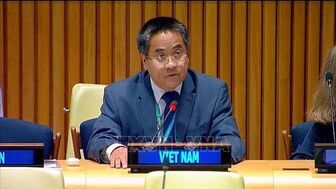 Việt Nam ủng hộ cải tổ HĐBA thông qua tiến trình đàm phán liên chính phủ