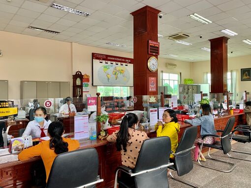 Tín dụng xanh mở đường nông nghiệp bền vững