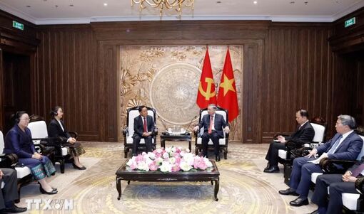 Tổng Bí thư, Chủ tịch nước tiếp Phó Thủ tướng, Bộ trưởng Tư pháp Lào