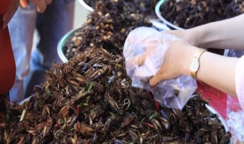 Chợ côn trùng Nà Si - độc đáo sản vật núi rừng Tây Bắc