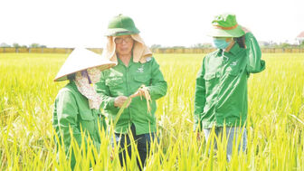 Viết tiếp khúc quân hành trên mặt trận kinh tế