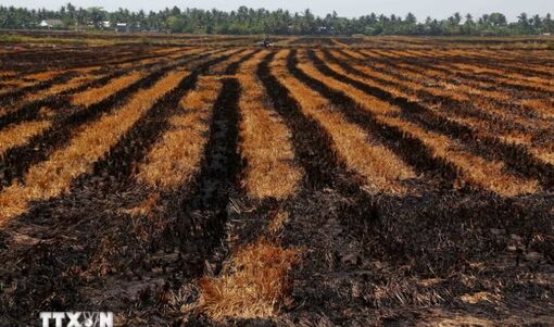 Khả năng El Nino rất mạnh: Việt Nam đối mặt nhiều đợt nắng nóng, bão mạnh