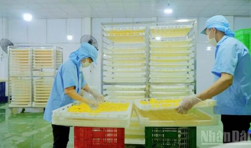 Liên kết doanh nghiệp, hợp tác xã và nông dân nâng cao giá trị nông sản