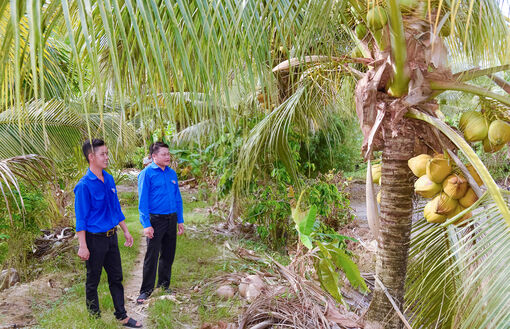 Thanh niên Giang Thành khởi nghiệp hiệu quả