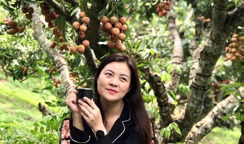 Theo mùa quả chín về với những miền quê