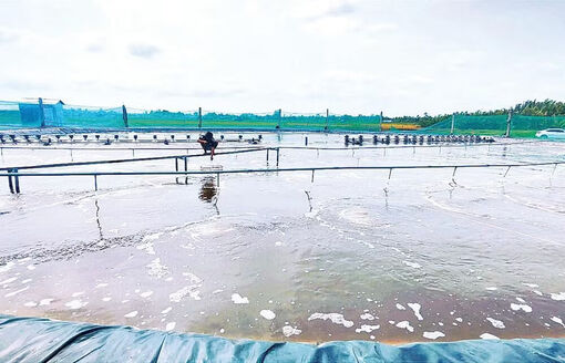 Tháo gỡ khó khăn cho kinh tế trang trại