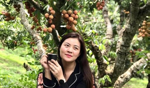 Theo mùa quả chín về với những miền quê