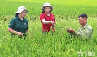Mở rộng giá trị nông nghiệp qua xuất khẩu giống cây trồng