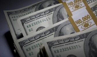 Tỷ giá USD hôm nay (19/06): Đồng USD chạm mức cao nhất trong vòng một năm