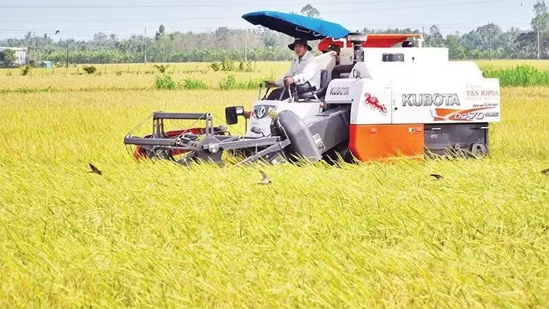 Kết nối, hình thành vùng nguyên liệu, tiêu thụ nông sản bền vững