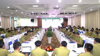Triển khai quy định xử phạt vi phạm hành chính trong lĩnh vực lâm nghiệp cho khu vực miền trung và nam bộ