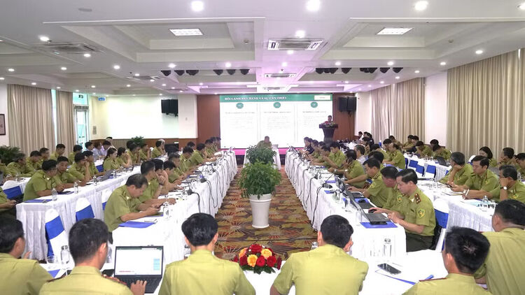 Triển khai quy định xử phạt vi phạm hành chính trong lĩnh vực lâm nghiệp cho khu vực miền trung và nam bộ