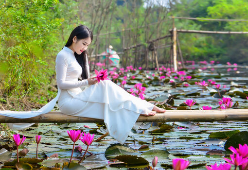 Hương sen tháng Sáu