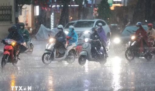 Mùa mưa bão năm 2026: Dự báo xảy ra khoảng 16-19 đợt mưa lớn diện rộng trên cả nước