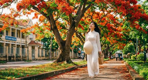 Nhớ thương mùa phượng đỏ