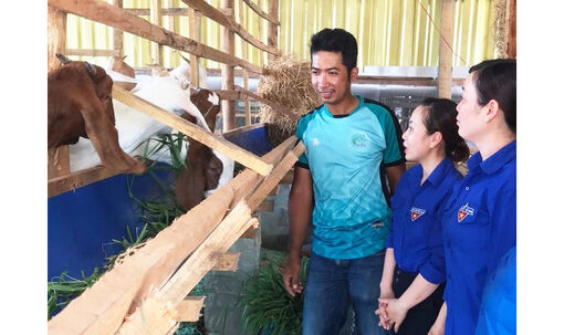 Tiếp sức thanh niên lập nghiệp