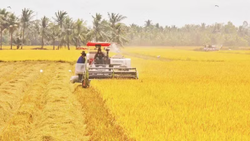 Từ “trụ đỡ” kinh tế đến động lực cho tăng trưởng hai con số
