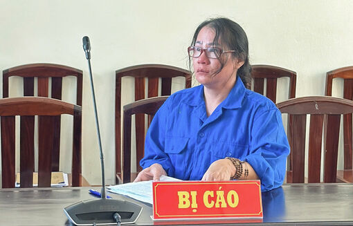 Lĩnh án 24 năm tù vì lừa đảo "chạy" ranh đất rừng