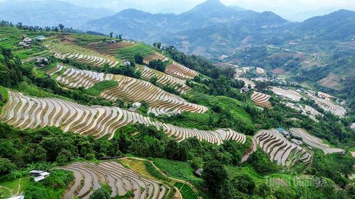 Mùa nước đổ trên danh thắng ruộng bậc thang Hoàng Su Phì