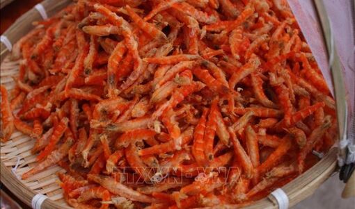 Xử lý thông tin sai sự thật về tôm khô Cà Mau