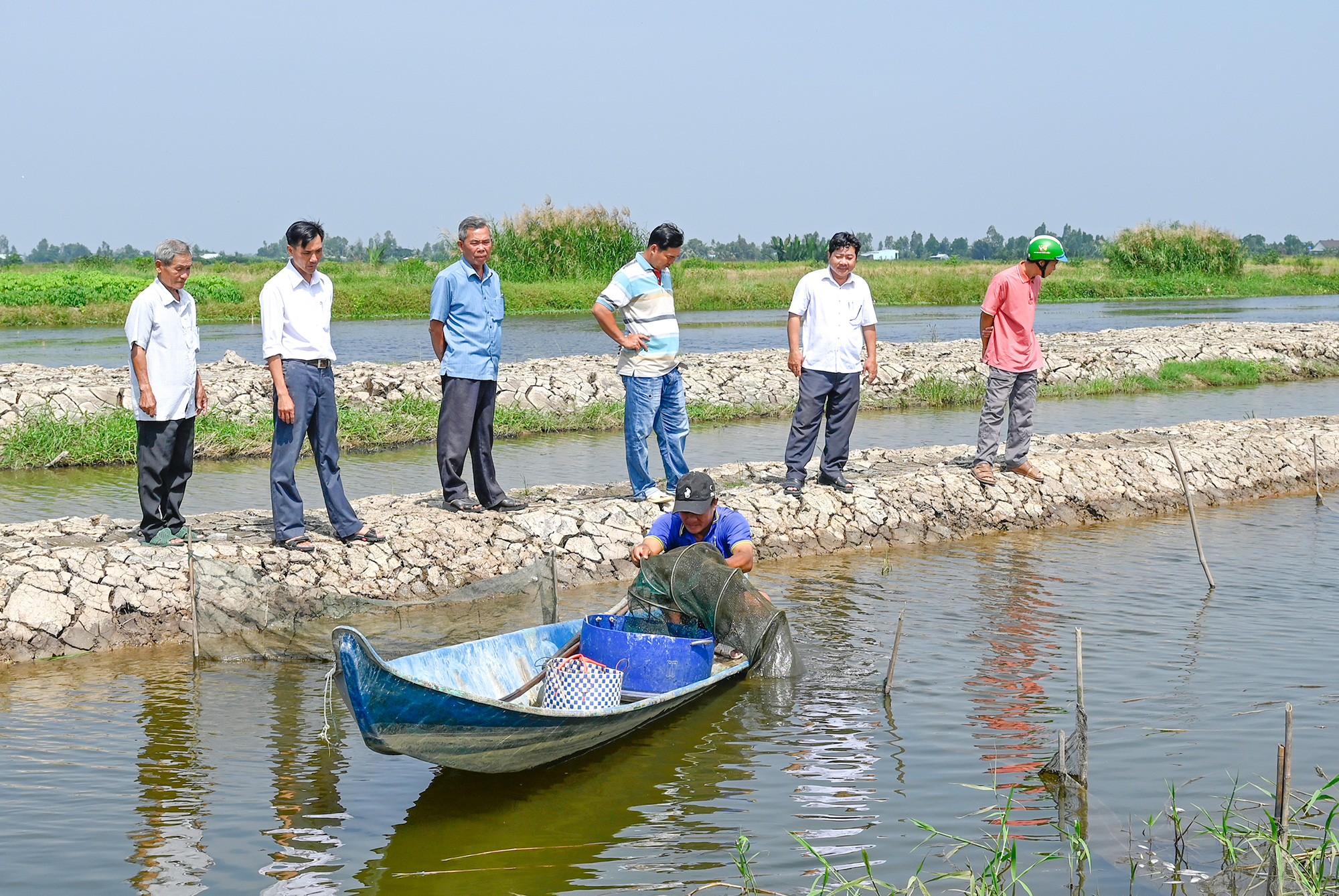 Đảng viên phát triển kinh tế gia đình