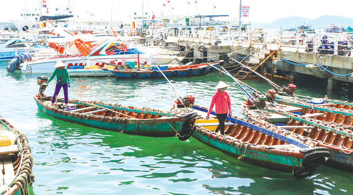 Những nữ lái đò trên biển
