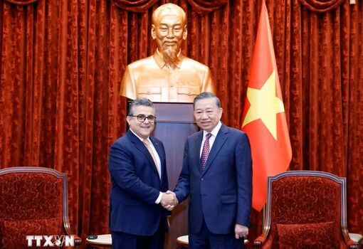 Việt Nam kiên định ủng hộ sự nghiệp đấu tranh chính nghĩa của nhân dân Palestine