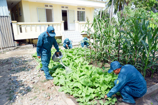 Vững thế trận quốc phòng vùng biên