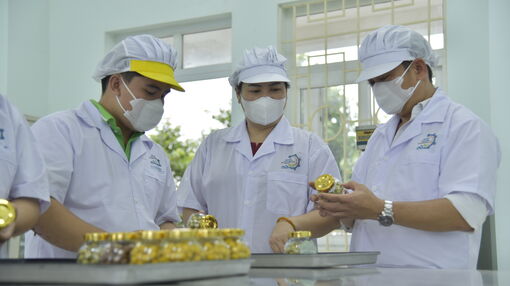 Từ buồng chuối xiêm xanh đến giấc mơ nâng tầm nông sản Việt