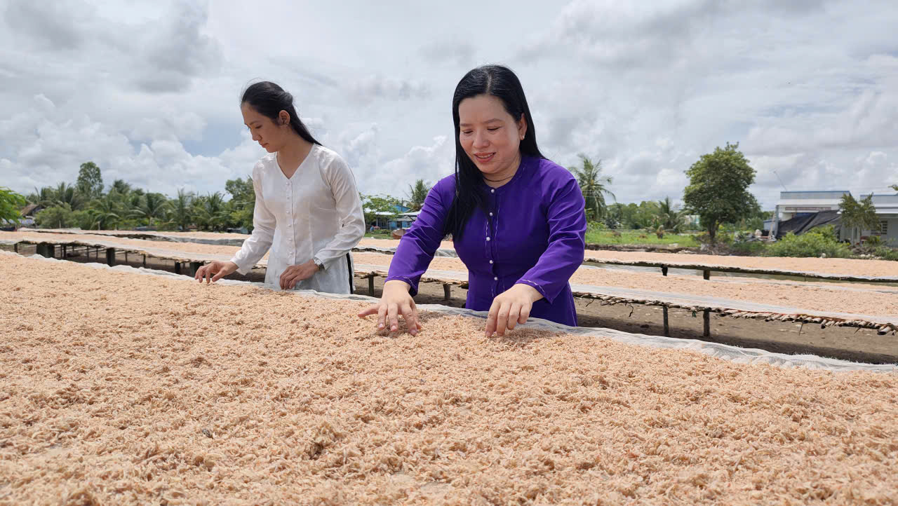 Về Kim Quy B mùa làm mắm ruốc