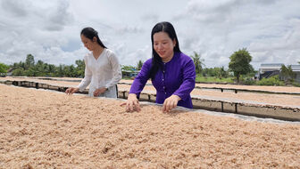 Về Kim Quy B mùa làm mắm ruốc