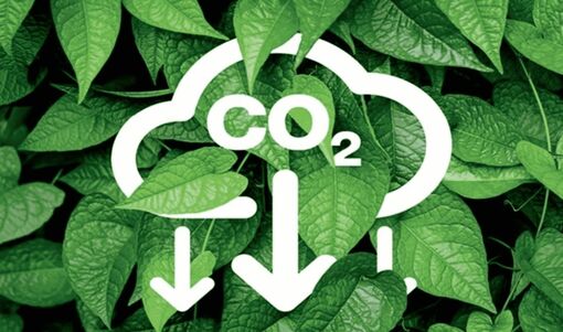 Sẵn sàng khai trương Sàn giao dịch carbon trong nước vào ngày 29/6