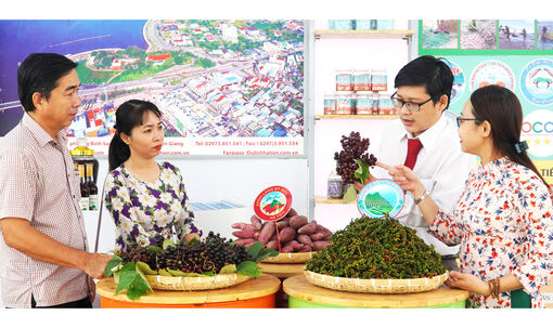 Cầu nối đưa chủ trương vào cuộc sống