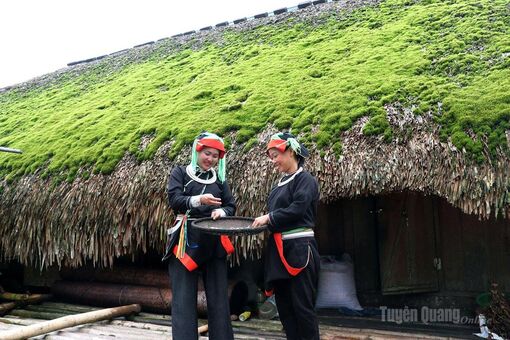 Ấn tượng “làng nhà rêu”