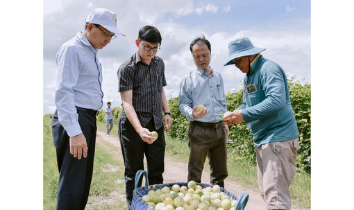 Đa dạng hóa cây trồng ở Vĩnh Điều